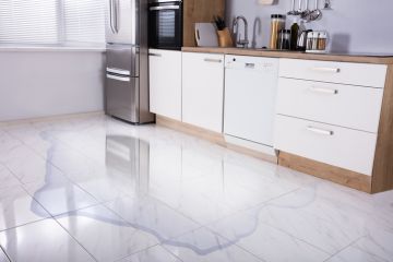 Chester Appliance leak repair by Southeastern Solutions SES, Inc