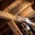Chester Attic Mold Restoration by Southeastern Solutions SES, Inc