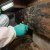 Chester Crawlspace Mold Remediation by Southeastern Solutions SES, Inc
