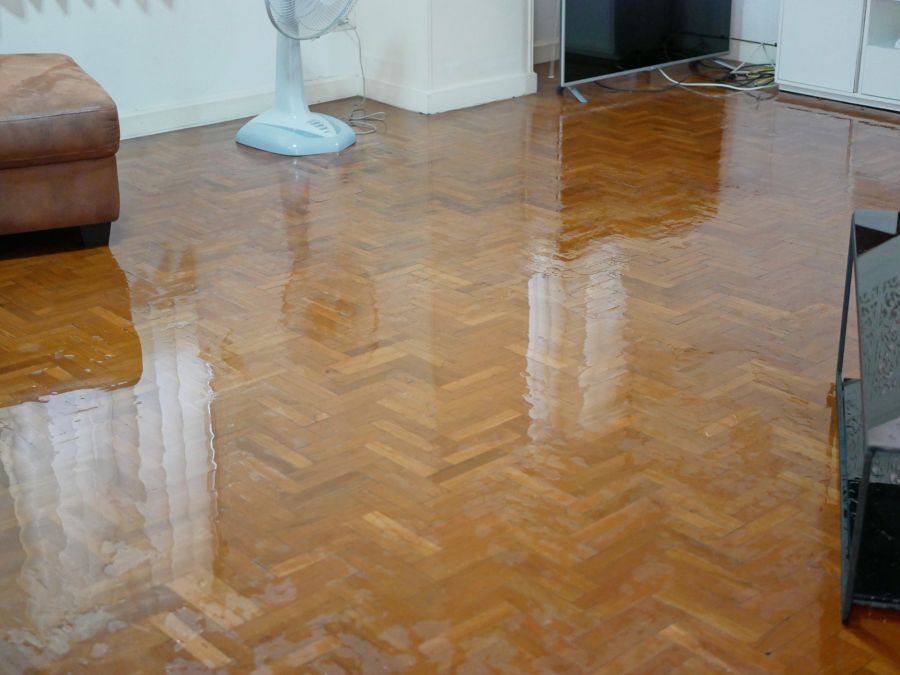 House Flooding Restoration by Southeastern Solutions SES, Inc