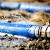 Chester Sewage Cleanup by Southeastern Solutions SES, Inc